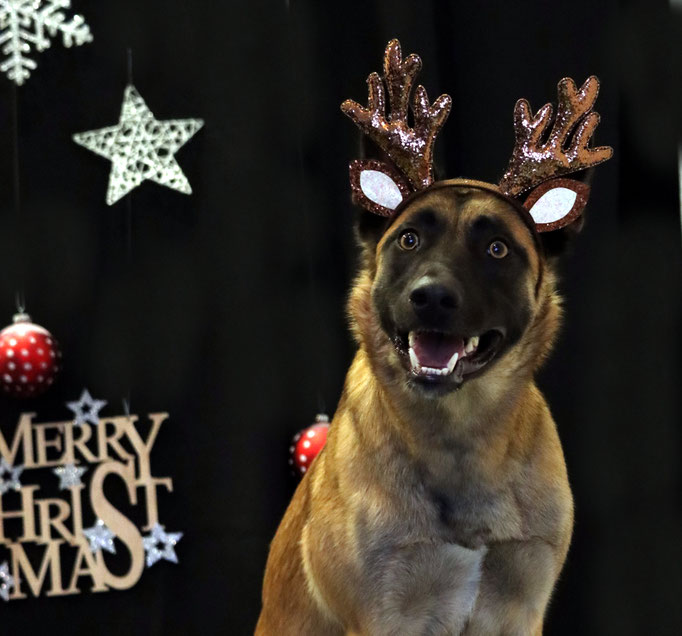Weihnachtsshooting 2021